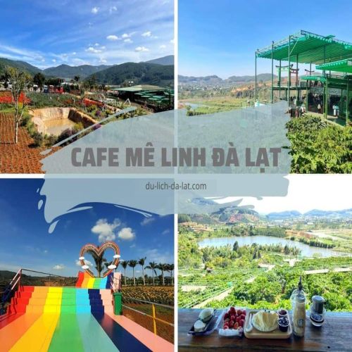 TOUR ĐÀ LẠT - THÀNH PHỐ NGÀN HOA 4 NGÀY 3 ĐÊM