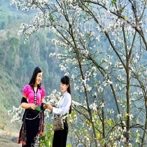 TOUR MỘC CHÂU - SƠN LA - ĐIỆN BIÊN - LAI CHÂU - SAPA 5 NGÀY 5 ĐÊM